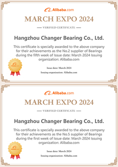 TOP2-Bearing TOP2-Bearing